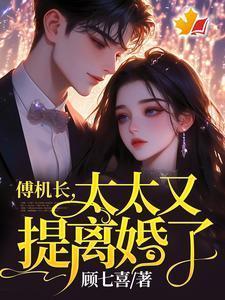 副机长的
